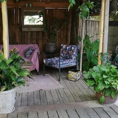 Maison Avec Jardin Et Bassin De Baignade