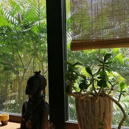 Вилла Maison Avec Jardin Et Bassin De Baignade